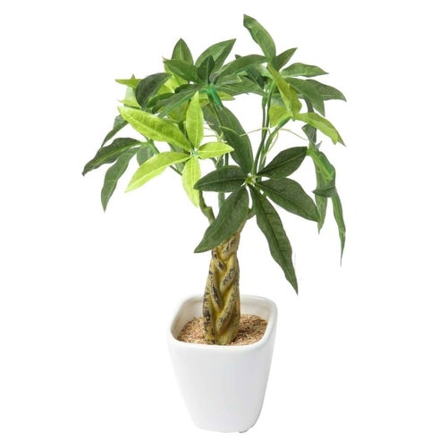 人工観葉植物 パキラ 27cm 観葉植物 造花