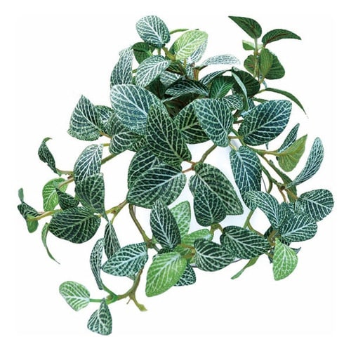 人工観葉植物 フィットニア 18cm