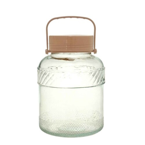 保存容器 ぷち漬け 保存瓶 2L