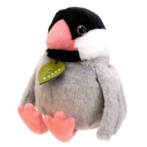 ぬいぐるみ potte 文鳥