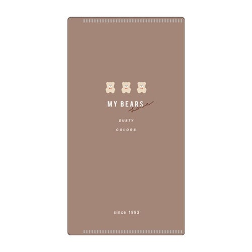 マスクケース ミラー付き 抗菌 Ag+ モカ