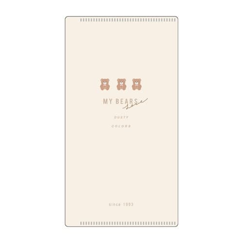 マスクケース ミラー付き 抗菌 Ag+ ラテ