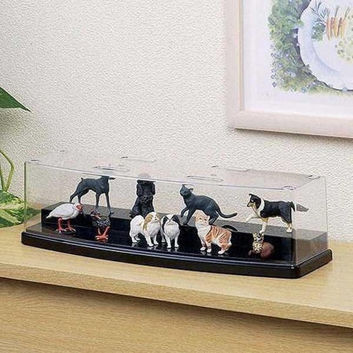 ラウンドディスプレイケース ワイド ひな壇タイプ