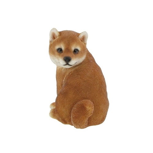 ガーデンオーナメント 犬 猫 呼んだ? 柴犬
