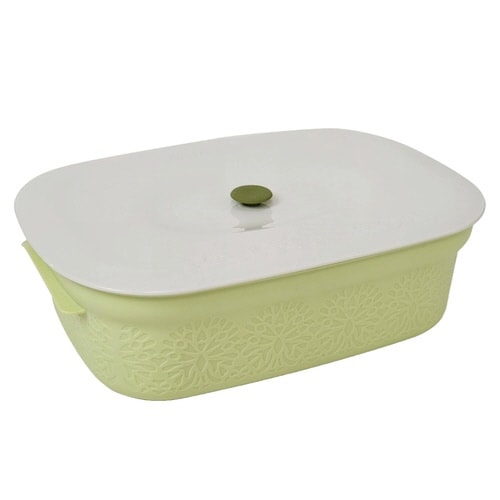 密閉保存容器 PAINAPOT サラダグリーン