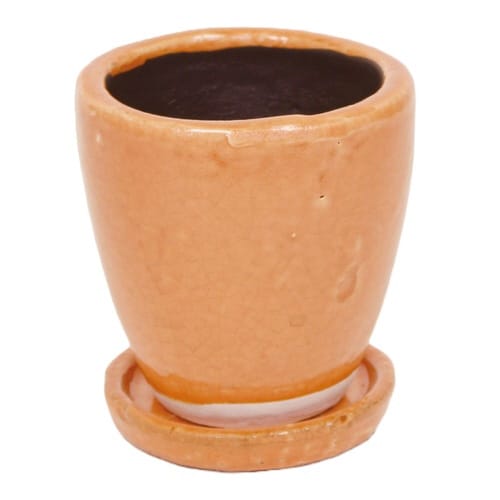 植木鉢 キュリオポットS 4号 コーラル