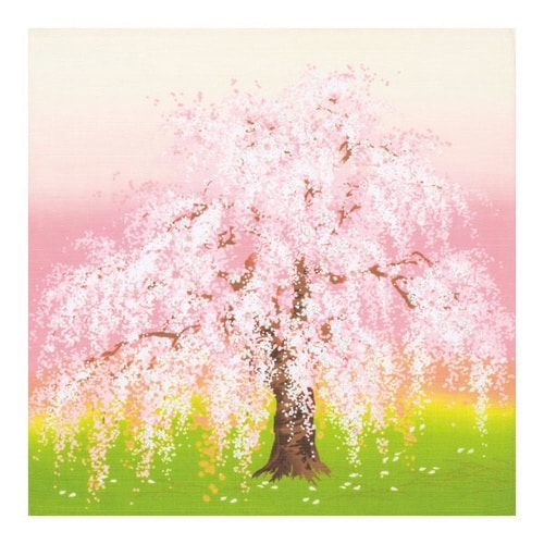 風呂敷 お弁当 50cm 綿小ふろしき 春