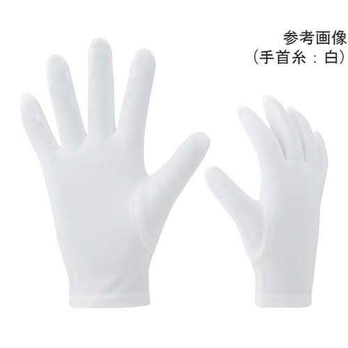 品質管理手袋 ナイロンダブル マチ付 1