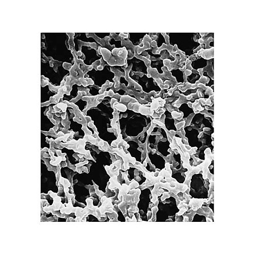 HATF02500 IMMOBILON−