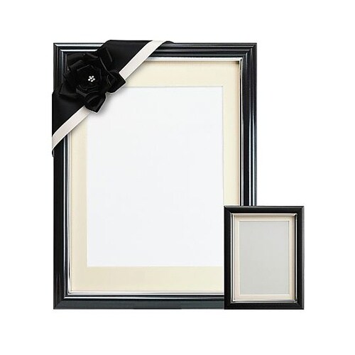 Vカラー肖像額セット 八〇判・L判・リボ