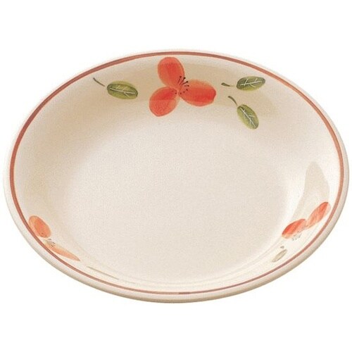 菜皿 中 里香(りか) CL−15−RK