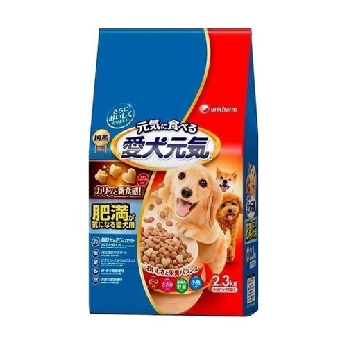 愛犬元気 肥満が気になる愛犬用 ビーフ・