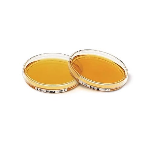 1.46076.0120 Tryptic