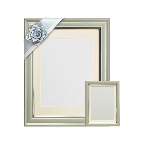 V380カラー肖像額セット 八〇判・キャ