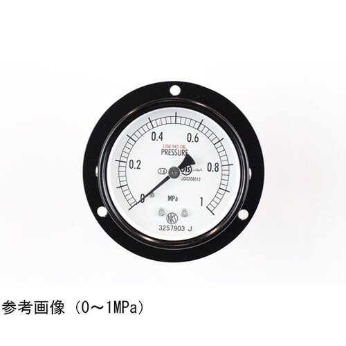 普通形圧力計(Φ60) 禁油 埋込形D枠