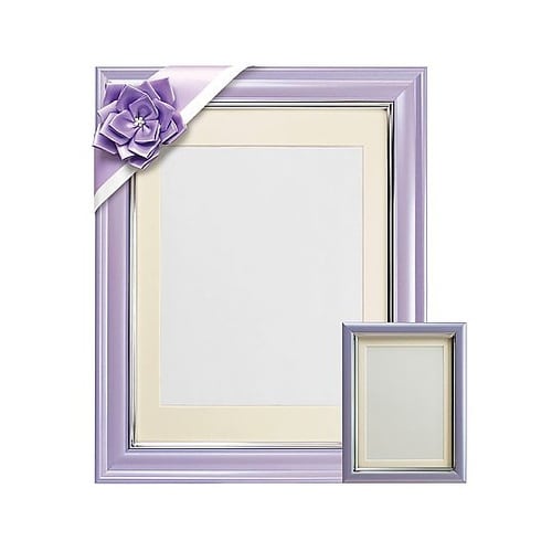 V380カラー肖像額セット 八〇判・L判