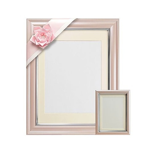 V380カラー肖像額セット 八〇判・L判