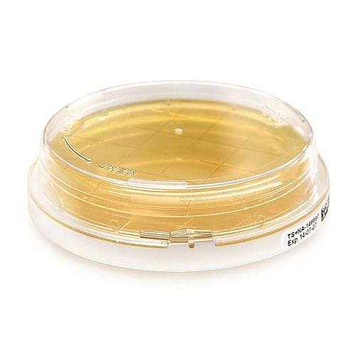 1.46539.0200 TRYPTIC