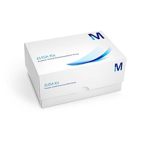 ELLUR0200 LUMINATA C