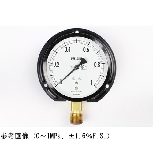 普通形圧力計(Φ100) 立形B枠 0.
