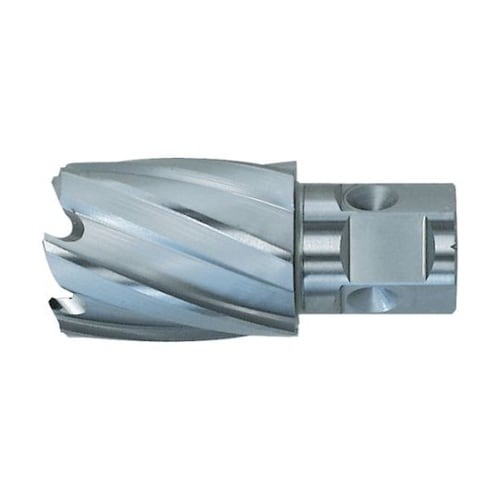 NO.16227 ハイブローチ