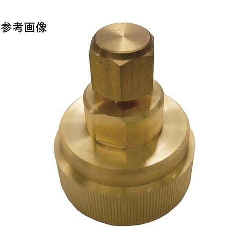 レイワオッゾン テストプラグ φ38.1