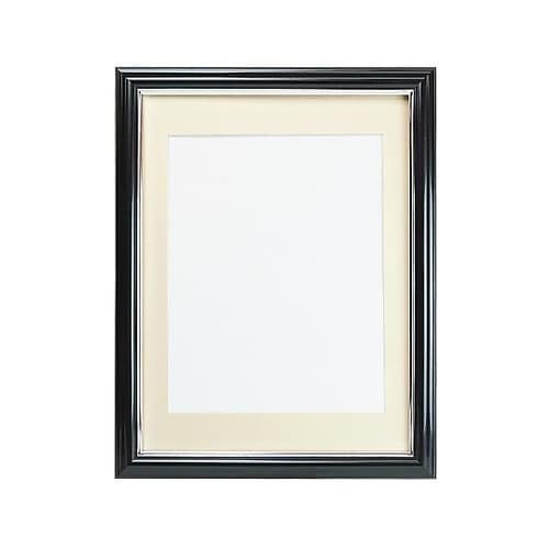 無反射 Vカラー肖像額 八〇判 PBK