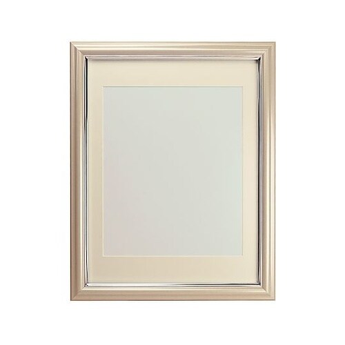 無反射 Vカラー肖像額 八〇判 アイボリ