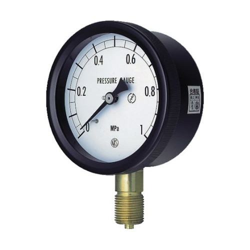 BC101310.16MP 密閉形圧力計