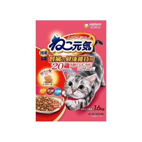 ねこ元気 20歳を過ぎてもすこやかに ま