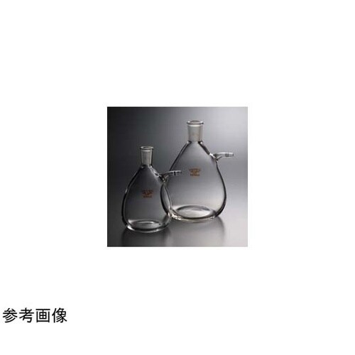 吸引ろ過瓶 500mL TS19/28