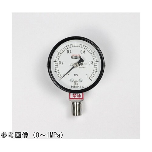 普通形圧力計(Φ60) 禁油 立形A枠