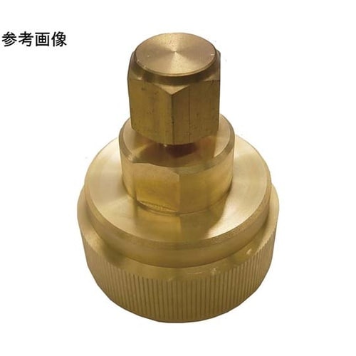 レイワオッゾン テストプラグφ25.4