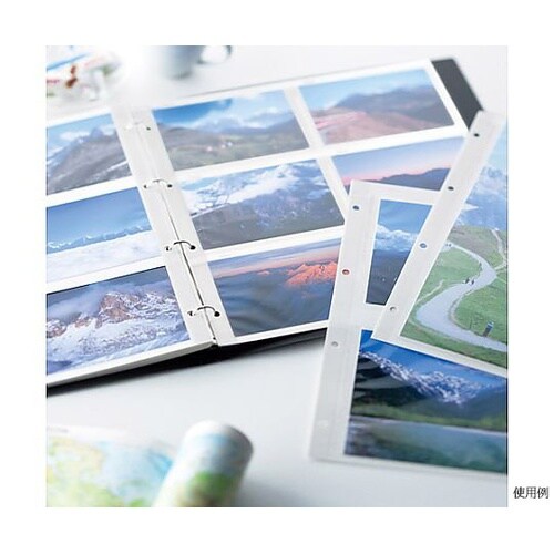 レポートアルバム L レッド ARP−L