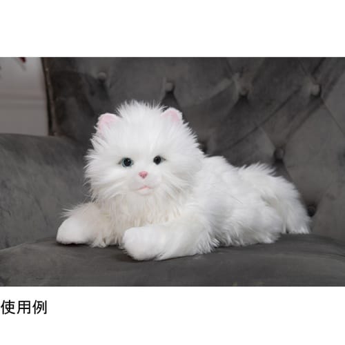 しっぽふりふり あまえんぼう子ねこちゃん