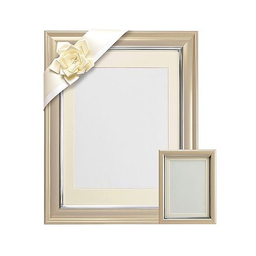 V380カラー肖像額セット 八〇判・L判