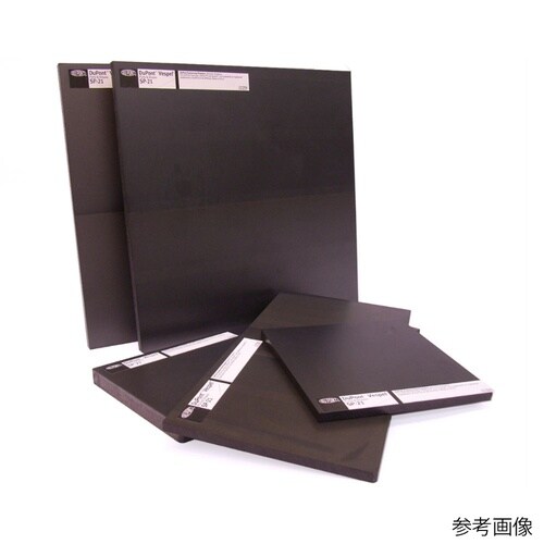 ベスペルSP−21 黒 T2 W254×