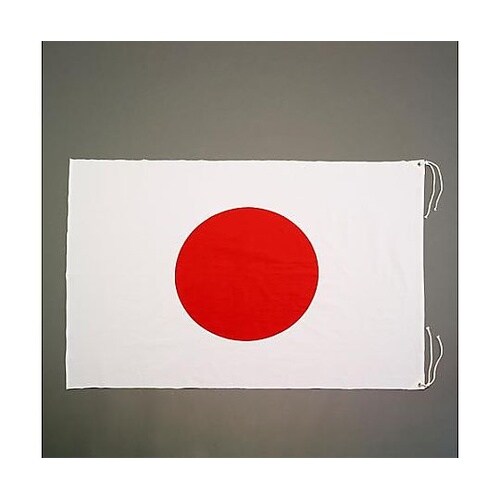 900x 700mm 国旗(綿) EA9