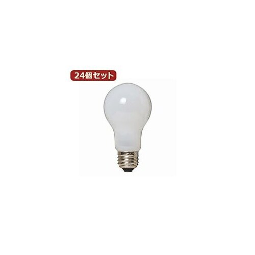 24個セット 長寿命シリカ20W形 LW