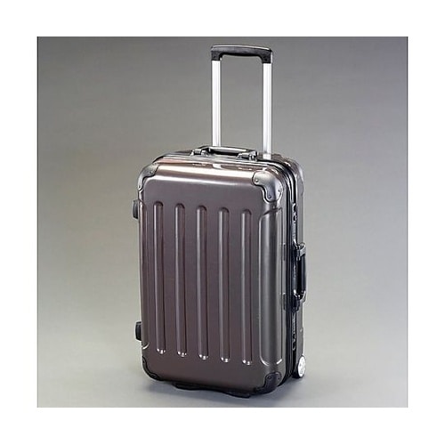 480x300x700(H)mm/100