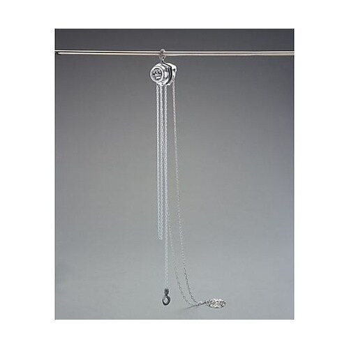 80kgx2.5m チェーンブロック E