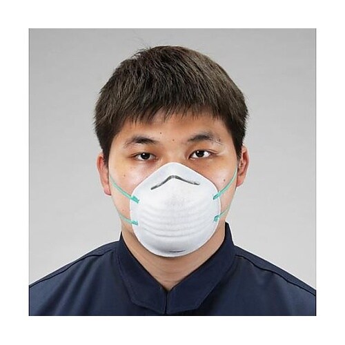 マスク(塵埃簡易/50枚) EA800M