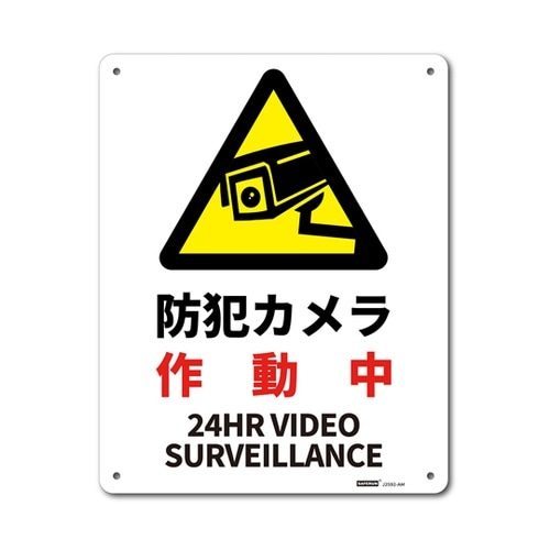 一般表示板 防犯カメラ作動中 250×3