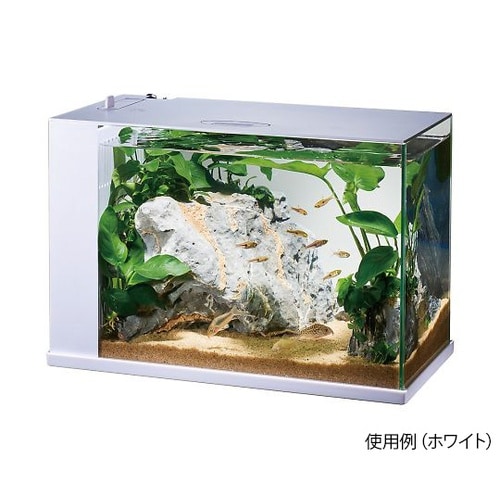 ブラック オールインワン水槽セット