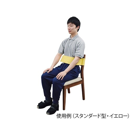 トランスポートベルト スタンダード型 L