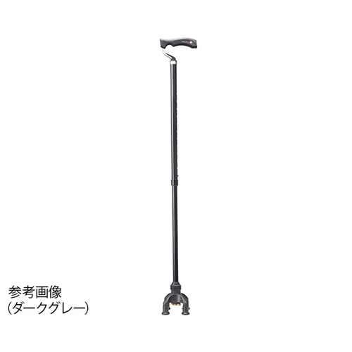 TW−0128 2ウェイステッキすずらん