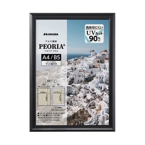アルミ額 ペオリアプラス A4 BK F