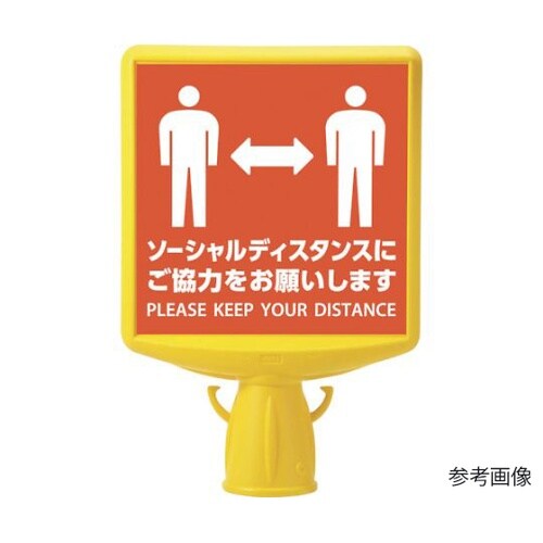 WT965 コーンサイントップ2