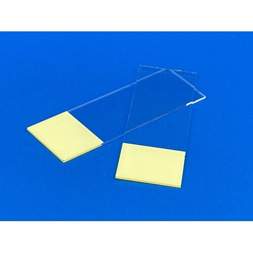 フロストスライドガラス 切放タイプ 黄色