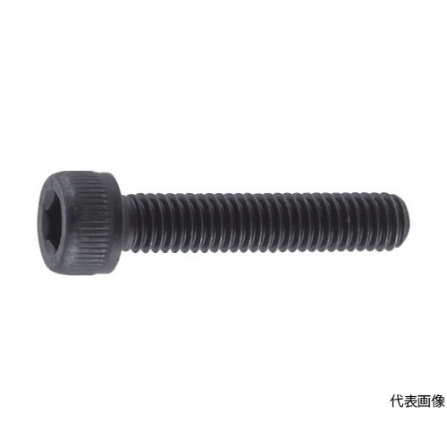 六角穴付ボルト 黒染め 全ネジ M10×